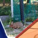 양평 휴 캠핑 워크샵 이미지