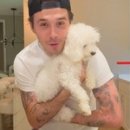 핑크강아지 이미지