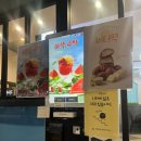 |아마스빈 동국대점| 충무로역 버블티 동국대 맛집 내돈내산 후기-하동녹차 오레오( ु⁎ᴗ_ᴗ⁎)ु.｡oO