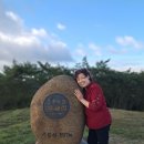 보성농장 이미지