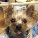 에이블 동물병원 이미지