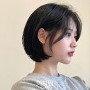 이비스헤어미니