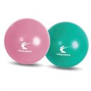 피트니스공 이미지