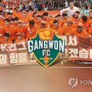강원LED홈조명