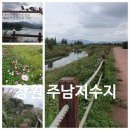 신엄새마을영농조합법인 | 갈대와 코스모스 둑방길의 창원 주남저수지 가을풍경