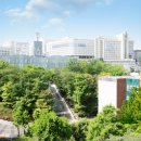 중앙대학교 이미지