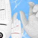 세컨라운드골프 이미지