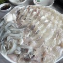 청기와카써비스 | [부산 송도]반려견 동반되는 사계절모듬회전문점 청기와횟집(내돈내산)
