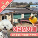 여리오자매 이미지