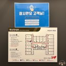 브라운도트거북섬점 이미지