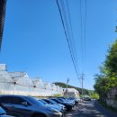 서이천화훼농원 | 식집사 성지 파주 화훼단지 조인폴리아 방문 모종 화분 구매 후기