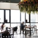 석계카센타 | 애슐리퀸즈 미아사거리역점에서 평일 런치 즐기고 왔어요