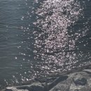 홀리몰리 이미지