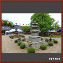 금성중학교 | 보물 나주북망문밖삼층석탑, 심향사 모과나무보호수/나주가볼만한곳