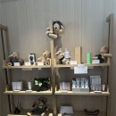 몸과 마음의 힐링 건강요가Ⅰ(강좌번호 15) | [후기] 정선 파크로쉬 태교여행 후기 / 웰니스 프로그램 / 예약방법/ 부대시설 종류 / 조식 / 임산부...