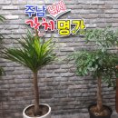 주남낚시 갈치명가 이미지