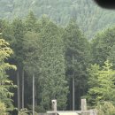 다라1천 | 10월 시즈오카 캠핑 태교 여행_후모톳바라 캠핑장/텐트 없이 고로케/ 핑크 후지