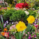 꽃들 태양광발전소 이미지