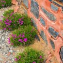 한옥 | 부여 한옥 펜션 월함지한옥 다녀온 후기 !