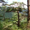 서울성산초등학교 이미지