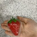 세븐팝 | 편의점간식 지구젤리 식감 그대로! 스퀴즈팝구미 젤리 먹어봤어요