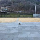 풀마트 | 대구 부산 근교 창녕 애견펜션 -몽운 (내돈내산) 불멍 바베큐 별보러 강아지랑 창녕여행