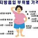 다이어트 견적 뽑아 보았어요. 지방흡입 부위별 견적 이미지