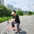 브랜디어 | 자전거 처음 타는 초보 아줌마의 브랜디어 접이식자전거