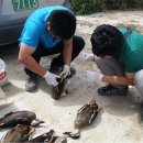 울산광역시야생동물구조관리센터 이미지