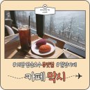 카페막시 왕송호수 벚꽃 탁트인 뷰카페(feat.의왕 레일바이크)