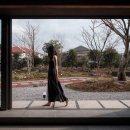 스테이오묘 이미지