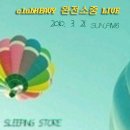 도그스타 이미지