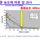 고용량 비타민 C 정맥주사(IVC)의 항암기전 이미지