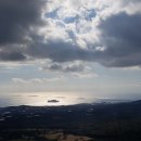 토종흑염소농장 이미지