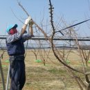 효제농장 이미지