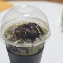 별품고텐박 | [내돈내산] 텐퍼센트 말차 신메뉴 가격 말차초코라떼 딸기말차크림라떼 솔직후기