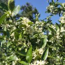 미성농장 이미지