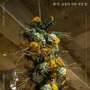 천마인터내셔널 | 《댄 리: 상실의 서른 여섯 달》 전시 관람 후기