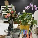 사평대로14길 12 (2) | 날 - 뭘 해도 다 되던 어느 일요일 | 서래마을 에어룸 | 서울브레드 팔레트 서래마을 본점 내돈내산 후기 🎨