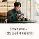 미소진약국 | 당신의 지갑을 살찌울 2025 소비지원금: 사용처, 금액, 꿀팁 총정리