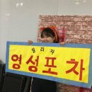 욜랑욜랑 이미지