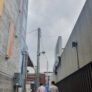 유진들깨칼국수 이미지