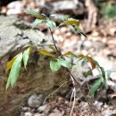 개산초등학교 이미지