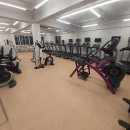 코코휘트니스 이미지