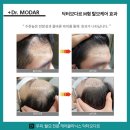 모다르헤어