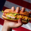 핫도그(HOTDOG) 이미지