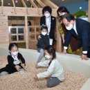 가온유치원 이미지