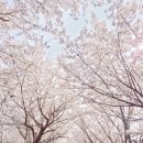서운교 이미지
