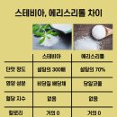 당플 이미지