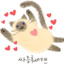 컴어라운드